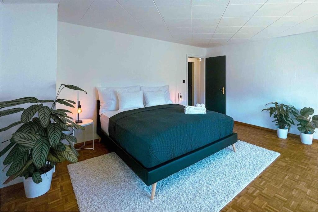 -The Urbanist- Mountainview Parking Garden 3Bd Villa Unterseen Exterior foto